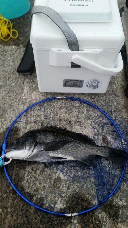 くろねこ流紀州釣りに挑戦！！